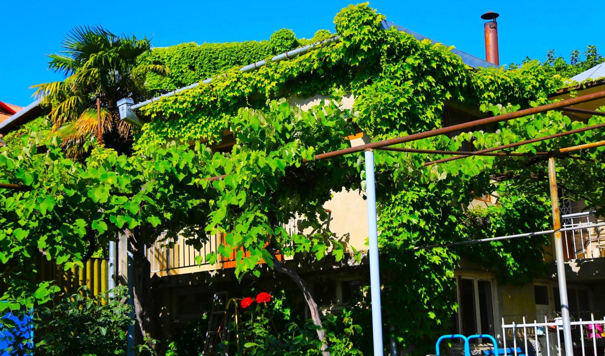 Guest House Green Veranda Mtsʼkhetʼa Zewnętrze zdjęcie