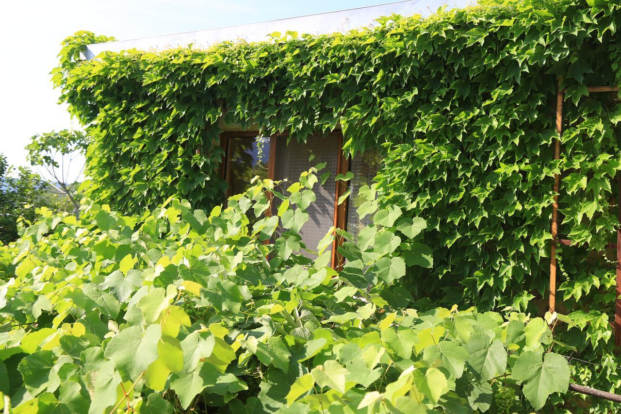 Guest House Green Veranda Mtsʼkhetʼa Zewnętrze zdjęcie