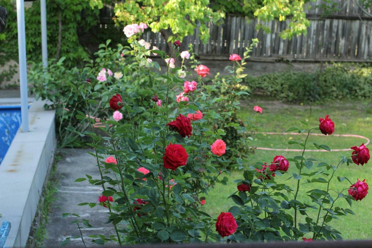 Guest House Green Veranda Mtsʼkhetʼa Zewnętrze zdjęcie
